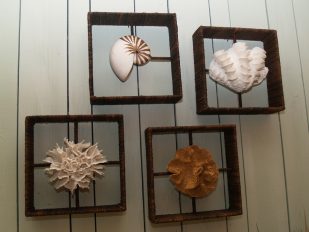 Seashell-Wall-Decor-Ideas
