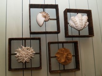 Seashell-Wall-Decor-Ideas