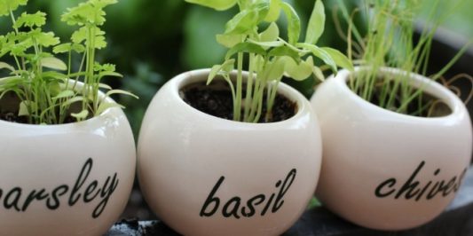 aromatika-fyta-sto-balkoni