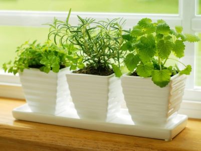 iStock-4787386_herbs-on-kitchen-windowsill_s4x3.jpg.rend_.hgtvcom.1280.960