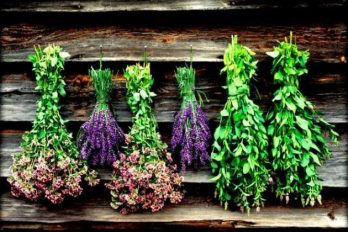 img30577_bfbec0038899c0eea3fe6a78c5eccedb_630_432