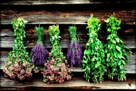 img30577_bfbec0038899c0eea3fe6a78c5eccedb_630_432