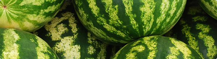 watermelon-banner