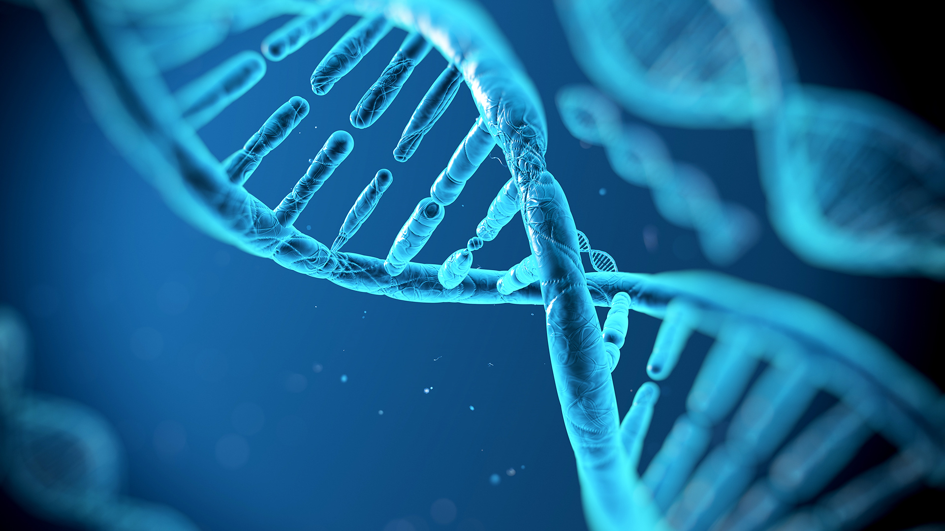 Τι είναι το DNA και γιορτάζει σήμερα;